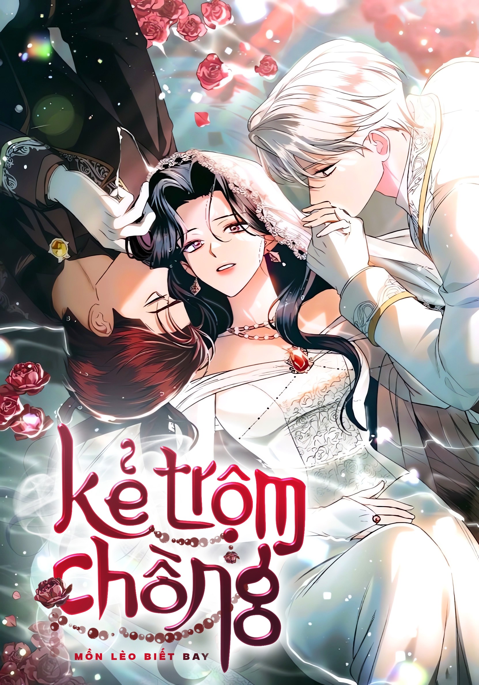 Kẻ Trộm Chồng